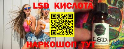 PSILOCYBIN Новозыбков