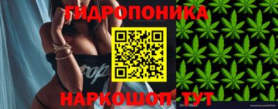 бошки Новодвинск