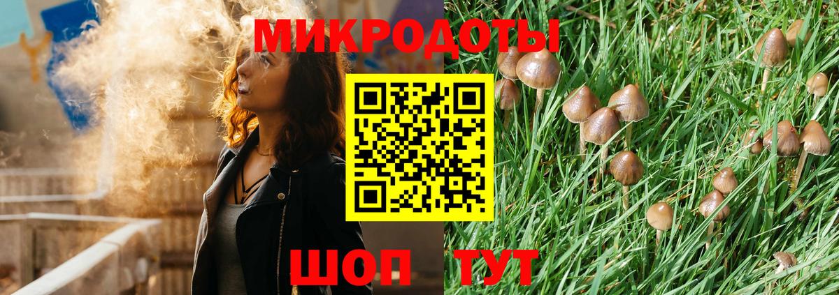 цена   Псилоцибиновые грибы мухоморы  Вход с VPN  Саратов  Галлюциногенные грибы Cubensis 