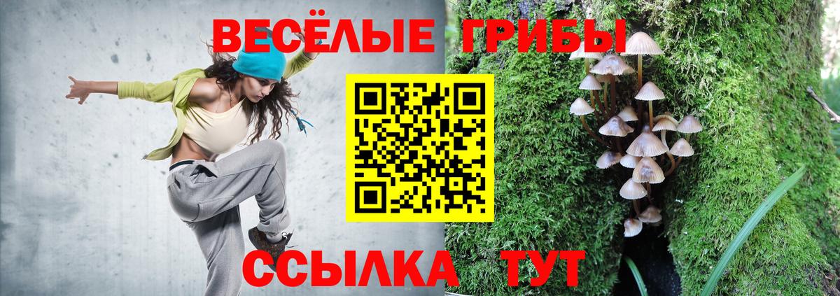 Галлюциногенные грибы ЛСД Саратов